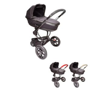 XQC hoes Quinny Mood/Buzz