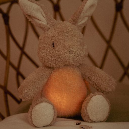 Little Dutch - Newborn - Knuffelkonijn - Licht & Geluid - Afbeelding 9