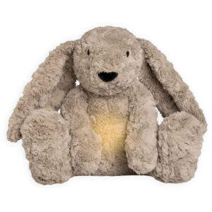 Baby’s Only – Bibi het Knuffelkonijn met Slaaptrainer – Taupe